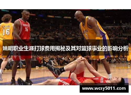 姚明职业生涯打球费用揭秘及其对篮球事业的影响分析