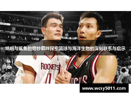 姚明与鲨鱼的奇妙羁绊探索篮球与海洋生物的深刻联系与启示