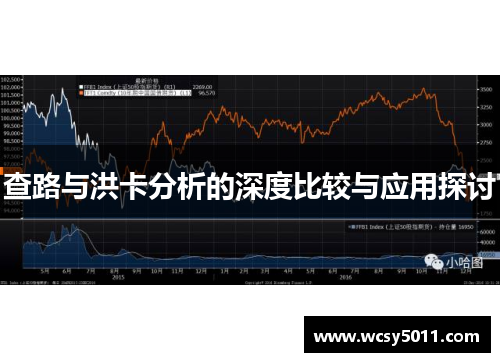 查路与洪卡分析的深度比较与应用探讨
