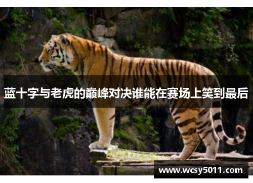 蓝十字与老虎的巅峰对决谁能在赛场上笑到最后